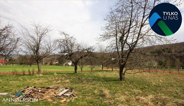 Działka budowlana na sprzedaż Wieliczka, Koźmice Wielkie 4 941m2 Foto 5
