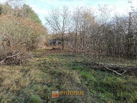 Działka budowlana na sprzedaż Józefów, Nadwiślańska 1 366m2 Foto 8