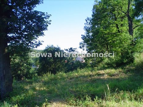 Działka budowlana na sprzedaż Wałbrzych, Stary Glinik 449m2 Foto 7