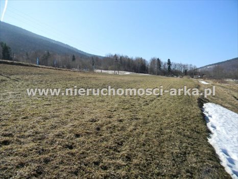 Działka budowlana na sprzedaż Dobra 2 900m2 Foto 3
