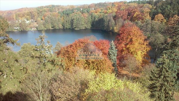 Działka inna na sprzedaż Łagów 3 990m2 Foto 3