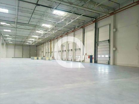 Lokal użytkowy na wynajem Gdańsk, Szadółki 2 400m2 Foto 4