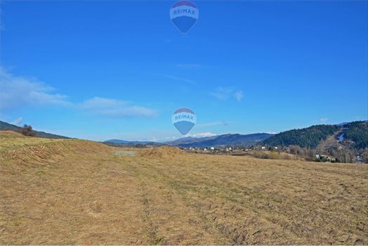 Działka budowlana na sprzedaż Rabka-Zdrój 4 480m2 Foto 3