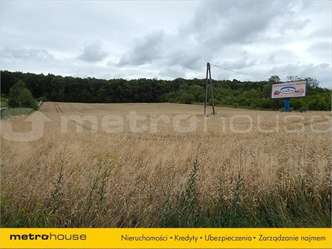 Działka inna na sprzedaż Janów, Chełm 20 269m2 Foto 5