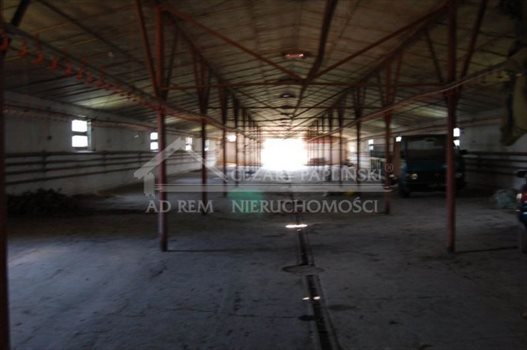 Lokal użytkowy na wynajem Nowogród, Nowogród 830m2 Foto 1