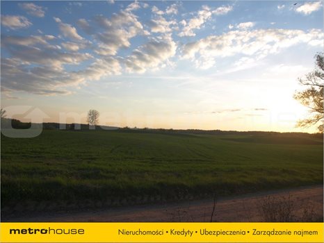 Działka rolna na sprzedaż Łomy, Jonkowo 3 001m2 Foto 4