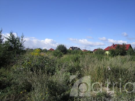 Działka budowlana na sprzedaż Wołczkowo 1 328m2 Foto 4