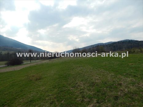 Działka budowlana na sprzedaż Dobra 3 700m2 Foto 1