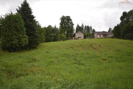 Działka budowlana na sprzedaż Przybówka 1 800m2 Foto 1