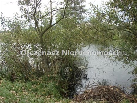 Działka rolna na sprzedaż Brzoza 3 013m2 Foto 5