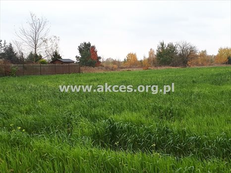Działka budowlana na sprzedaż Wólka Kozodawska 16 000m2 Foto 3