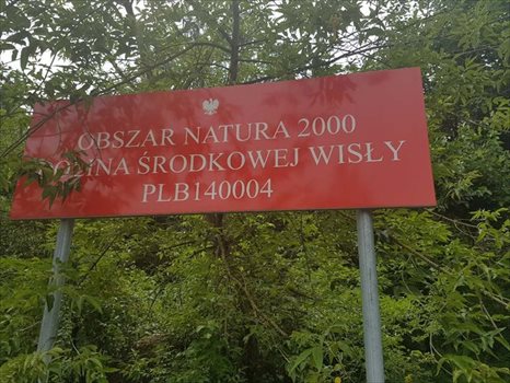 Działka budowlana na sprzedaż Warszawa, Wawer, Ogórkowa 3 780m2 Foto 3