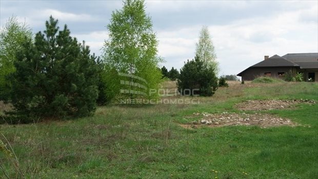 Dom na sprzedaż Stużno-Kolonia 335m2 Foto 3