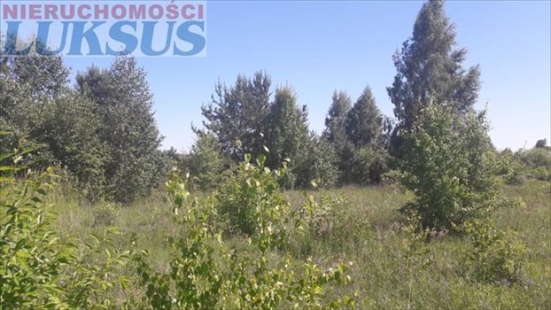 Działka budowlana na sprzedaż Nowe Racibory, Nowe Racibory 1 100m2 Foto 5