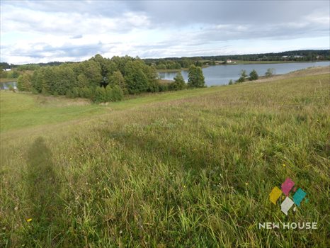 Działka budowlana na sprzedaż Wipsowo 12 500m2 Foto 11