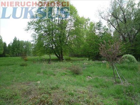 Działka inna na sprzedaż Many 12 200m2 Foto 2