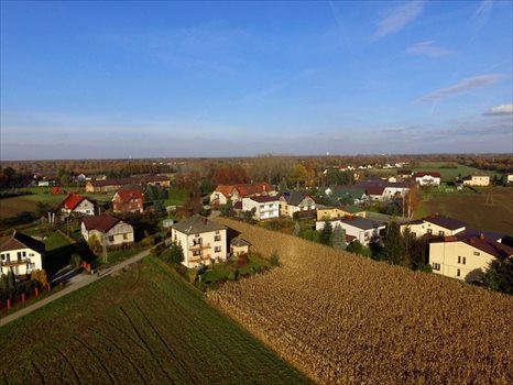 Działka budowlana na sprzedaż Dankowice, Spokojna 3 787m2 Foto 10