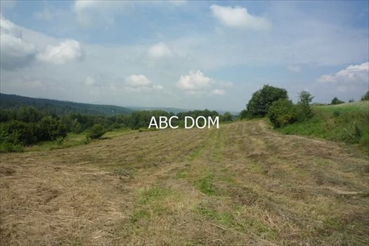 Działka budowlana na sprzedaż Mogilany, Mogilany 4 100m2 Foto 1