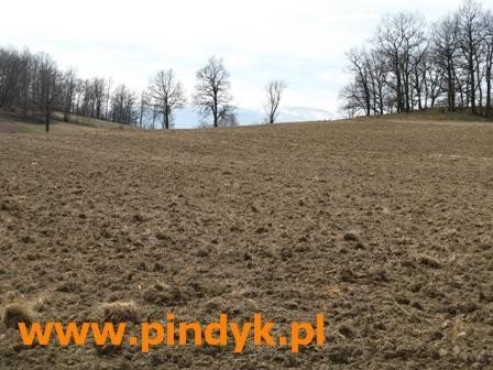 Działka budowlana na sprzedaż polska, Łomnica, Łomnica 3 118m2 Foto 5