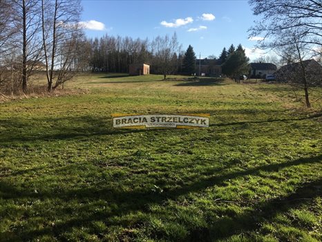 Działka inna na sprzedaż Górka Powielińska 5 500m2 Foto 6
