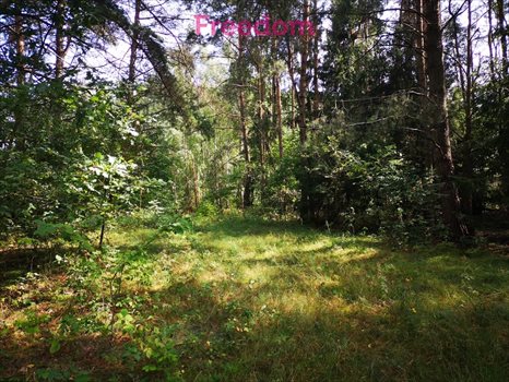 Działka budowlana na sprzedaż Orzechowo 24 300m2 Foto 1
