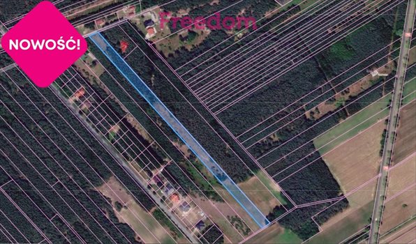 Działka budowlana na sprzedaż Bełchów 13 500m2 Foto 3