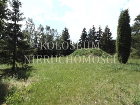 Działka budowlana na sprzedaż Bartoszylas, Stara Kiszewa, Kaszuby, Kościerzyna 35 500m2 Foto 4