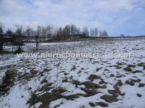 Działka budowlana na sprzedaż Walowa Góra 4 800m2 Foto 2
