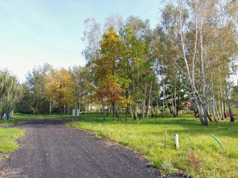 Działka budowlana na sprzedaż Budy-Grzybek 942m2 Foto 10