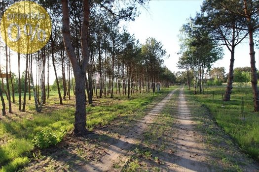Działka budowlana na sprzedaż Kamieńczyk 1 000m2 Foto 2