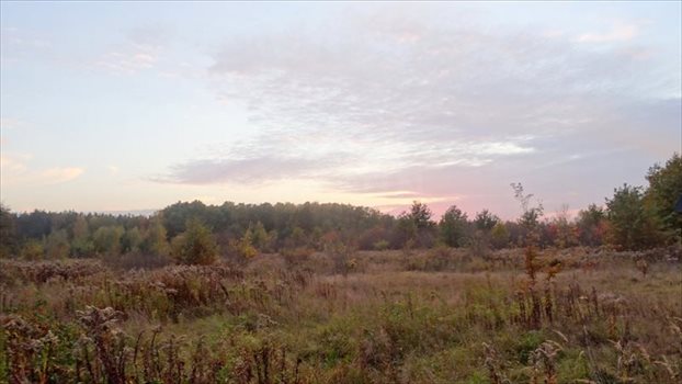 Działka inwestycyjna na sprzedaż Kajetany 14 916m2 Foto 12