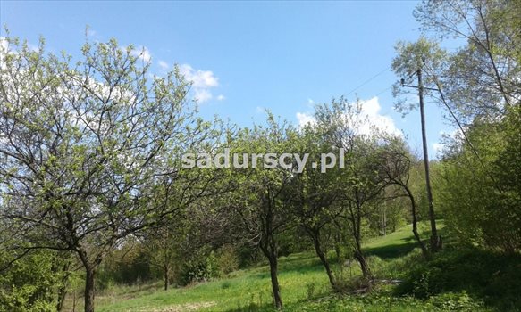 Dom na sprzedaż Wola Radziszowska 120m2 Foto 4