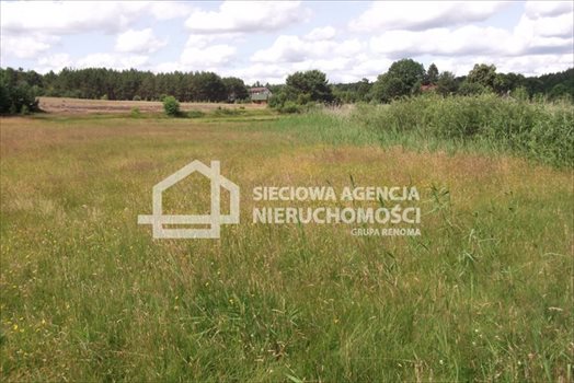 Działka rolna na sprzedaż Sepiot 43 700m2 Foto 8