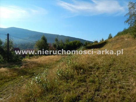 Działka budowlana na sprzedaż Mszana Dolna 1 531m2 Foto 3