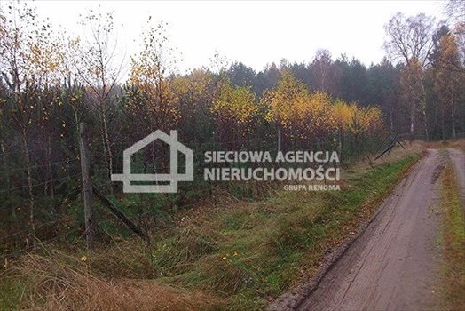 Działka leśna na sprzedaż Skwierawy 64 900m2 Foto 5