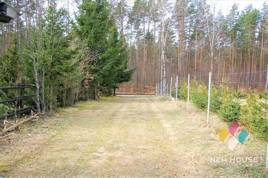 Działka rolna na sprzedaż Cerkiewnik 3 681m2 Foto 7