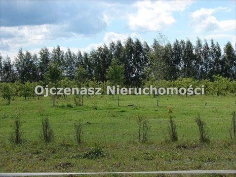 Działka budowlana na sprzedaż Żołędowo 1 300m2 Foto 4