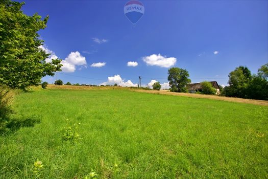 Działka budowlana na sprzedaż Roztropice 3 500m2 Foto 7