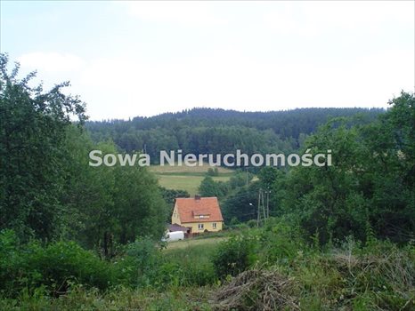 Działka budowlana na sprzedaż Wałbrzych, Stary Glinik 449m2 Foto 3