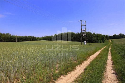 Działka inna na sprzedaż Klonówka, Las, Rzeka 101 600m2 Foto 11