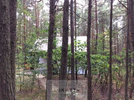 Działka inna na sprzedaż Chrzczanka Włościańska 2 200m2 Foto 8