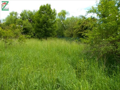 Działka budowlana na sprzedaż RABKA-ZDRÓJ 1 500m2 Foto 3