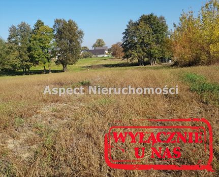 Działka budowlana na sprzedaż Płock, Góry 1 310m2 Foto 4