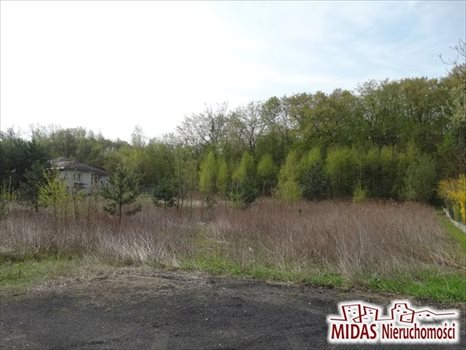 Działka rolna na sprzedaż Aleksandrów Kujawski 955m2 Foto 2