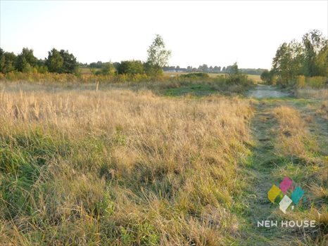 Działka budowlana na sprzedaż Wójtowo, Krokusowa 1 240m2 Foto 3