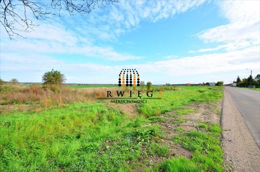Działka budowlana na sprzedaż Gorzów Wielkopolski, Zakanale 997m2 Foto 5