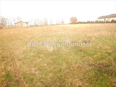 Dom na sprzedaż Tylewice 300m2 Foto 6