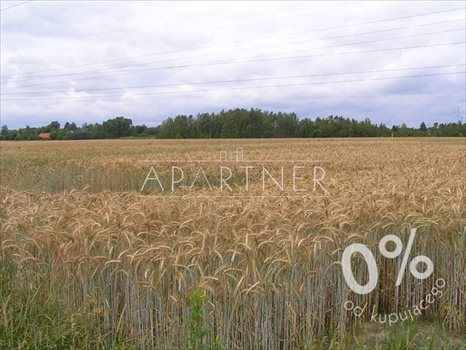 Działka rolna na sprzedaż Rzgów 8 391m2 Foto 4