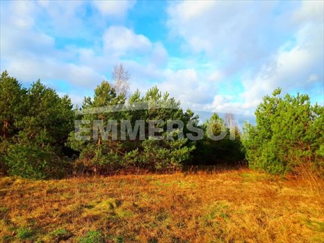 Działka budowlana na sprzedaż Prażmów, Łoś 1 000m2 Foto 2