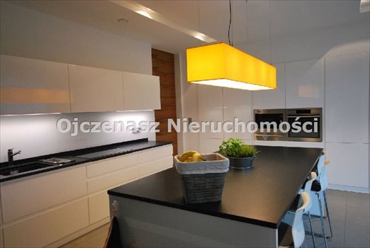 Dom na wynajem Tryszczyn 386m2 Foto 5
